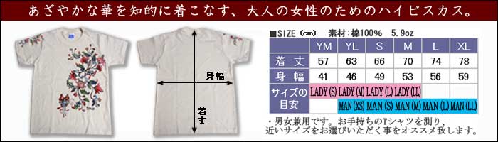 ヒビスTシャツのサイズ表